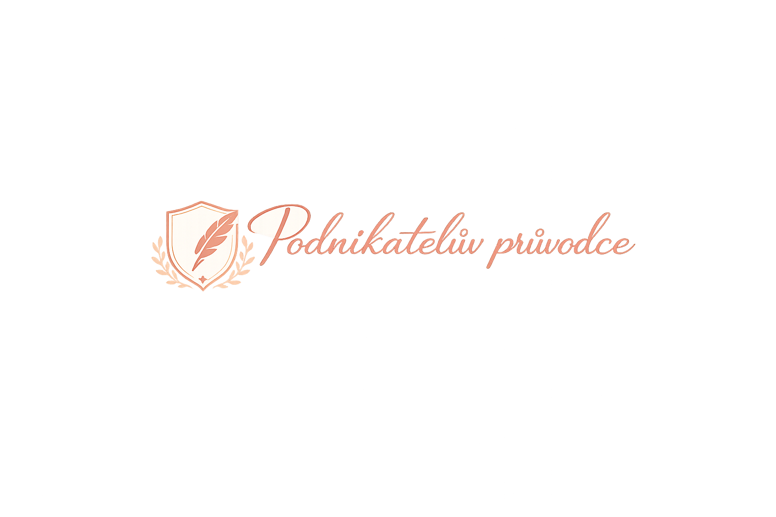 Podnikatelův průvodce